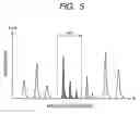 Fig. 06 - Mass spectrometer