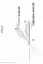 Fig. 09 - Electron beam system and electron beam measuring and observing methods