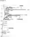Fig. 05 - External composition containing Unsaturated fatty acid or its salt or ester
