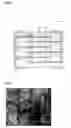 Fig. 03 - Method for surface treatment of nickel nanoparticles with organic solution