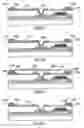 Fig. 04 - Display device and manufacturing method thereof
