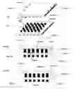 Fig. 05 - Microelectronic die cooling device including bonding posts and method of forming same