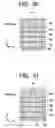 Fig. 15 - Semiconductor device and a method of manufacturing the same