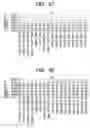 Fig. 25 - Semiconductor device and a method of manufacturing the same