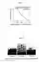 Fig. 02 - Substrate structure and manufacturing method of the same
