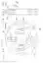Fig. 09 - Work fixing device