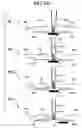 Fig. 48 - Sheet stacking apparatus and bookmaking apparatus using the same