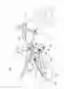 Fig. 02 - Cap member of swing arm for rear wheel