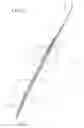 Fig. 04 - Snow skis