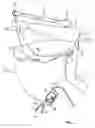 Fig. 02 - Occupant restraint apparatus