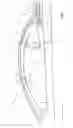 Fig. 02 - Cabriolet vehicle