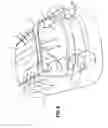 Fig. 10 - Vehicle rear body structure