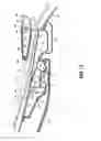 Fig. 13 - Vehicle rear body structure