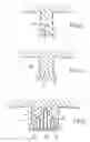 Fig. 03 - Rotary electrical machine having loss reduction means