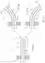 Fig. 05 - Electrostrictive compound actuator
