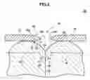 Fig. 03 - Electron emitter formed of a dielectric material characterized by having high mechanical quality factor
