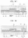 Fig. 06 - Organic electro luminescent display and method for fabricating the same