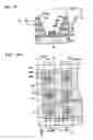 Fig. 06 - Field emission display and manufacturing method thereof