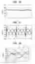 Fig. 22 - Field-winding type of synchronous machine