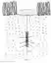 Fig. 04 - Capacitive soil moisture sensor