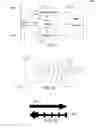 Fig. 02 - Method and system for locating tires using RFID