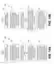 Fig. 19 - Response systems and methods for notification systems for modifying future notifications