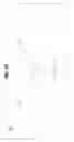 Fig. 03 - Hybrid binary/thermometer code for controlled-voltage integrated circuit output drivers