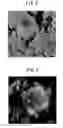Fig. 05 - Plasma display device