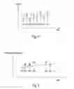 Fig. 03 - Display panel conversion data deciding method and measuring apparatus