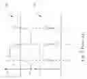 Fig. 03 - Driving circuit of plasma display panel
