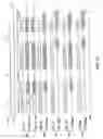 Fig. 16 - Flat panel display using data drivers with low electromagnetic interference