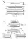 Fig. 12 - Performing a pre-rendering pass in digital image processing