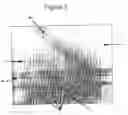 Fig. 09 - Method and apparatus for separating particles by dielectrophoresis