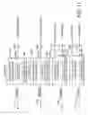 Fig. 11 - Parametric programmable thermal printer