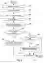 Fig. 07 - Digital camera devices and methods for implementing digital zoom in digital camera devices and corresponding program products
