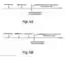 Fig. 06 - Video format determination using the horizontal synchronizing signal