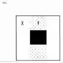 Fig. 06 - Semi-transmissive liquid crystal display device with signal lines that are broader in the transmissive portion than in the reflective portion