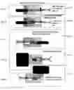 Fig. 05 - System and method for increasing efficiency and quality for exposing images on celluloid or other photo sensitive material