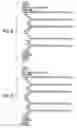 Fig. 06 - Markup language edit method, record medium recording browser, and print system