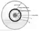 Fig. 01 - Method and apparatus for printing on a label side of a disc medium