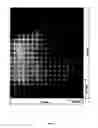 Fig. 07 - Optical scanning zoom microscope with high magnification and a large field of view