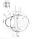 Fig. 13 - Achromatic polarization switches