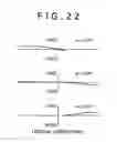 Fig. 20 - Zoom lens and image pickup