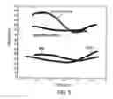 Fig. 06 - Composite material containing nanotubes and an electrically conductive polymer