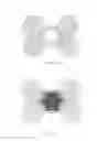 Fig. 07 - Multiple module lamp