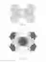 Fig. 08 - Multiple module lamp