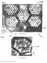 Fig. 11 - Multiple module lamp