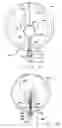 Fig. 06 - Lighted inflated or inflatable objects