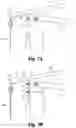 Fig. 08 - Basketball light raising and lowering apparatus and method
