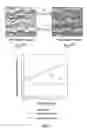 Fig. 02 - Processing seismic data representative of the acceleration wavefield